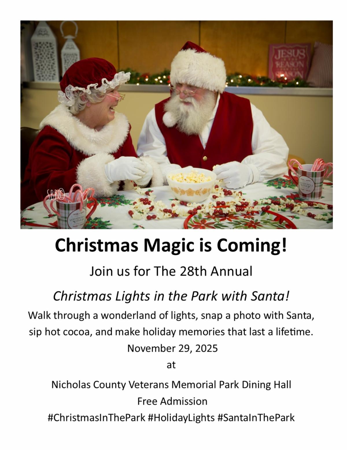 2025 Lights in the Park