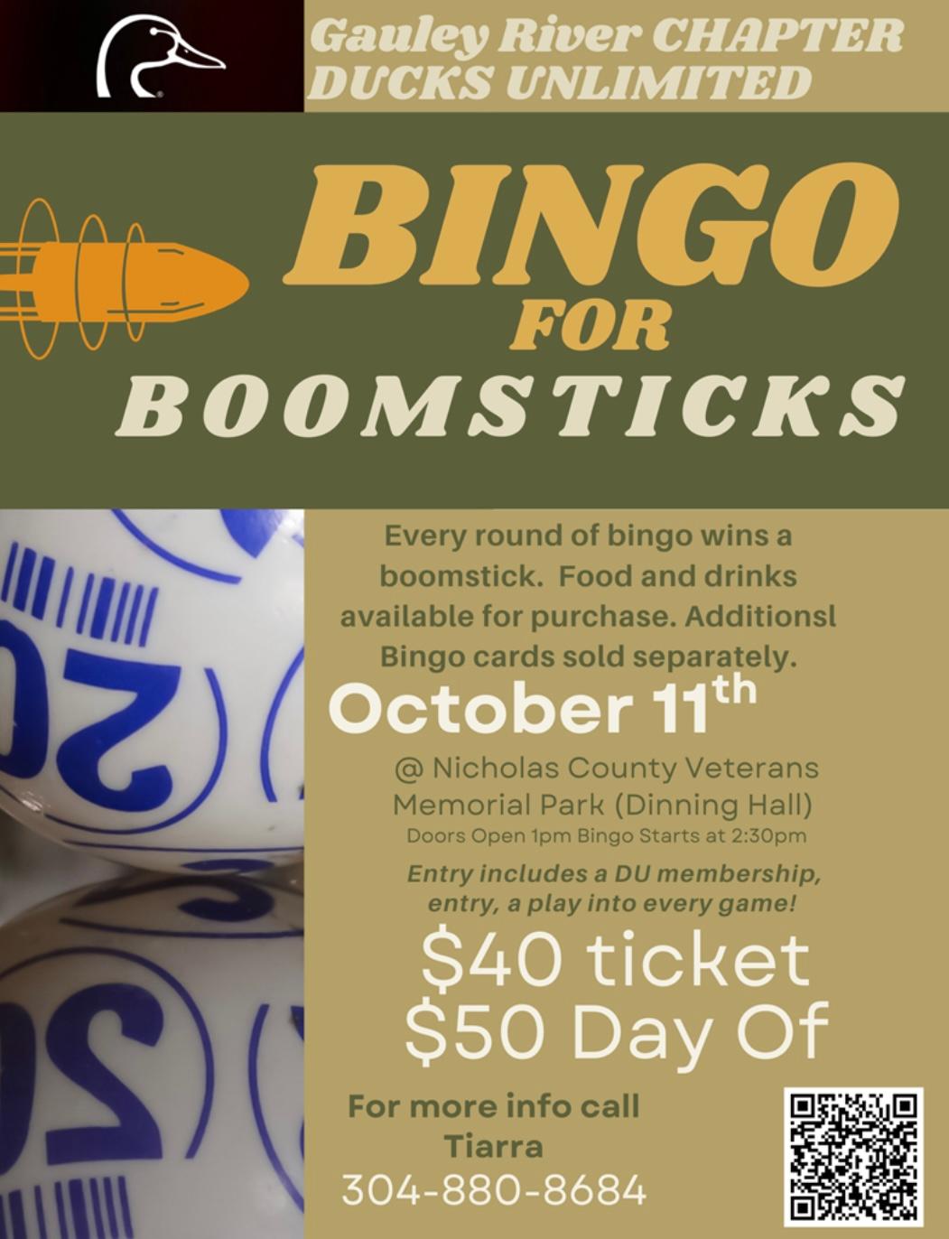 Bingo for boomsticks flyer